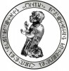 Tsirani logo